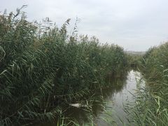 -水洞沟旅游区