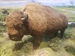 -陕西自然博物馆