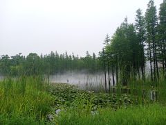 -南京银杏湖乐园