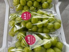 -马陆小张葡萄园农家乐