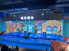 -重庆欢乐海底世界