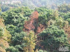 -广州市石门国家森林公园