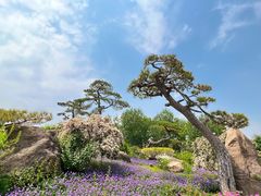 -罗红摄影艺术馆