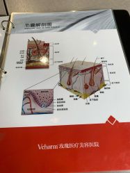 -上海玫瑰医疗美容医院