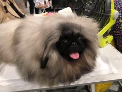-东浩兰生上海世博展览馆