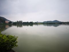 -江东鲈鱼馆(正江东)
