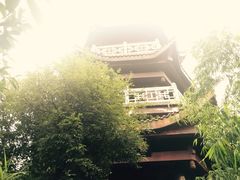 沐川竹海-沐川竹海旅游景区