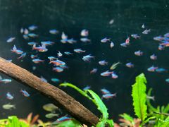 -上海海洋水族馆