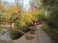 -碑林公园