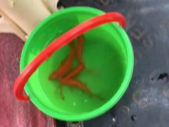 -白塘生态植物园