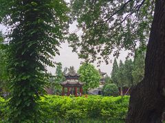 -洛阳白马寺