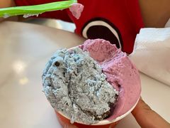 云南夏黑葡萄-Dal Cuore 达可芮冰淇淋(陕西北路店)
