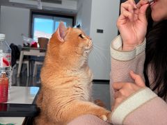 -汉陵苑