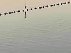 -水濂山水库景点停车场