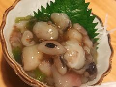 熟芥末章鱼-村上一屋·亚洲菜融合小馆(南楼店)