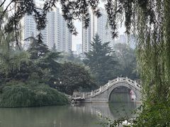 -西苑公园