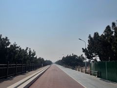 -日照海滨国家森林公园