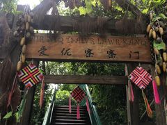 -西双版纳原始森林公园