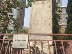 -团结湖公园