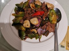 -新兴·金羊座·粤菜点心(乐峰店)