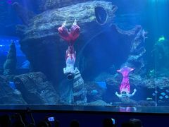 -多彩贵州城极地海洋世界