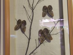 -陕西自然博物馆