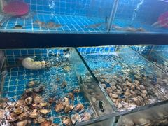 -佰园全日西餐厅-厦门佰翔软件园酒店