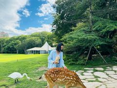 -银树楼(紫玉山庄东区店)