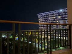 -三亚国光豪生度假酒店-椰语堂清补凉(国光豪生店)