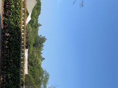 -上海月湖雕塑公园
