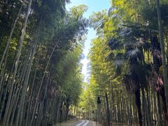 -黄公望隐居地