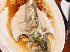 -古南都·老广东酒楼(龙江店)