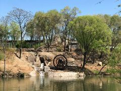 -东方巨龟苑景区