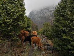 -孟屯河谷景区