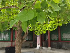 -张学良旧居陈列馆