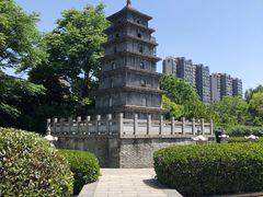 -武汉园博园(武汉自然博物馆)