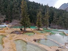 -黄龙山原始森林景区