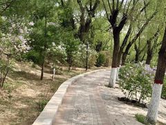 -满都海公园