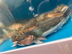 -同乐酒楼(皇后镇店)