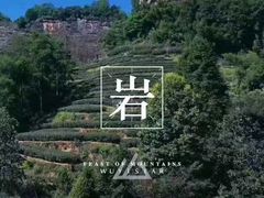 -华祥苑茶馆•国缤茶小蓝罐(普罗旺斯店)