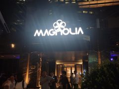 -MAGNOLIA商务·娱乐KTV(金玉兰店)