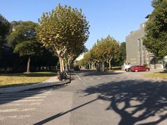 -同济大学(嘉定校区)