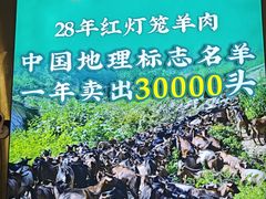 -聚味罗记大排檔·烧烤·鲜鱼杂·甲鱼煲(科学馆店)