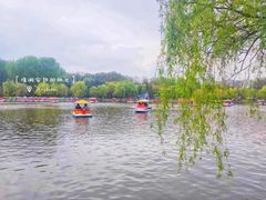 -二一九公园