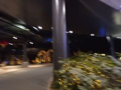 -上海滴水湖皇冠假日酒店