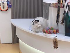 -全心全意动物诊疗中心医院(北苑店)