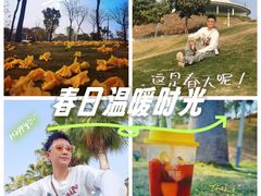 -白石龙音乐公园