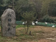 -杭州野生动物世界