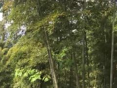 -山沟沟景区