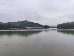 -河北省园博园
